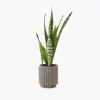 product-image-6_optimized Odio Pellentesque